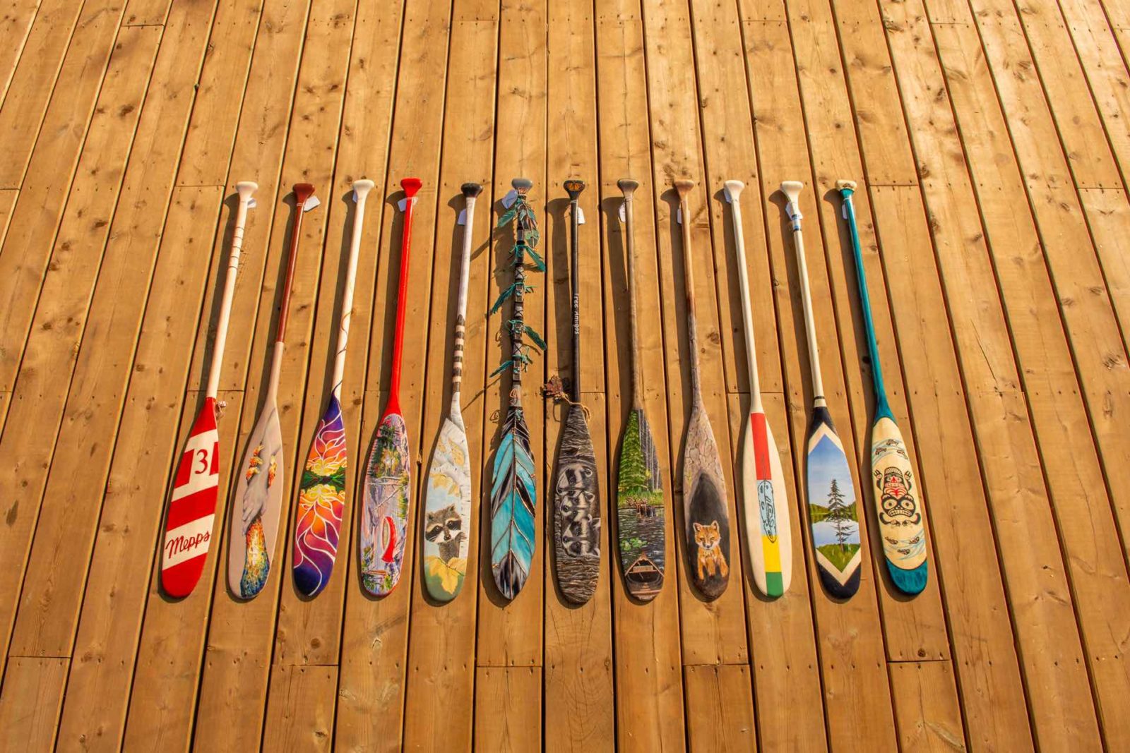 Algonquin Outfitters Paddle Art Auction