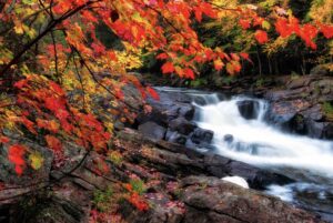 MFI-james-wheeler-1149191-unsplash-Dwight things to do in Huntsville in the fall