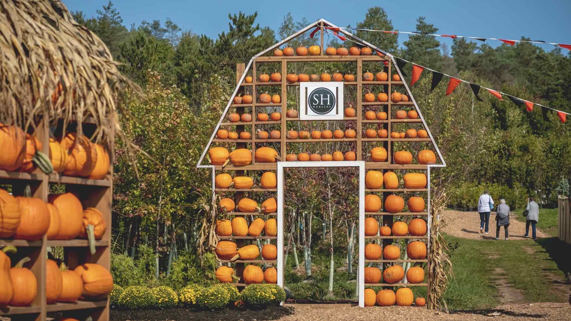 Sandhil Nursery visit with pumpkins is one of the best things to do in Huntsville this fall