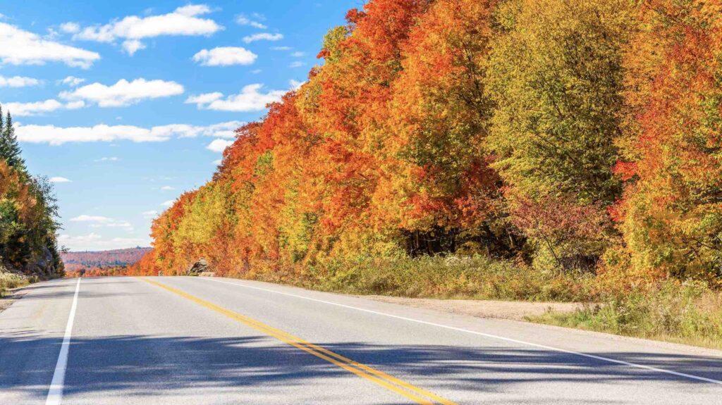 shutterstock_-Algonquin Park things to do in Huntsville this fall - Albert Pego